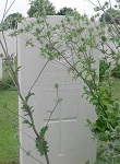 Grave for Henry Walker150