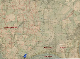 Malard Wood200