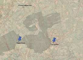 nieppe forest200