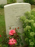 Grave TETerry150