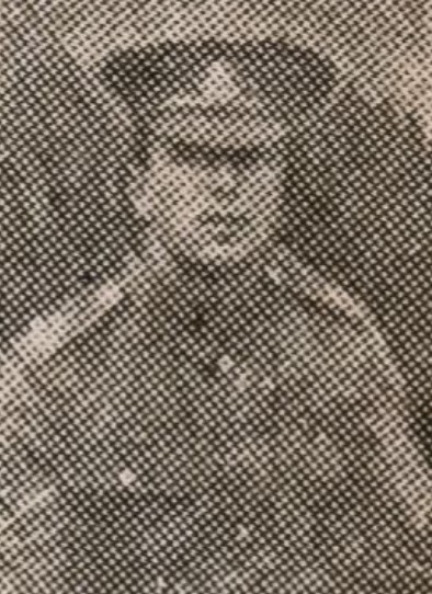 albert matthews
