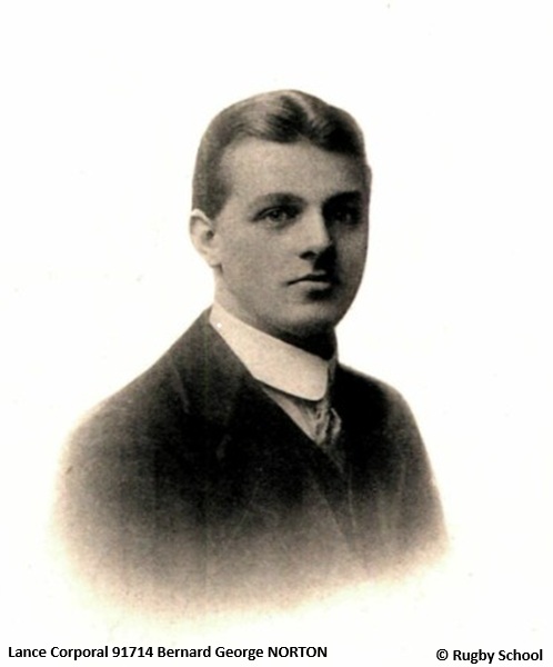 bg norton