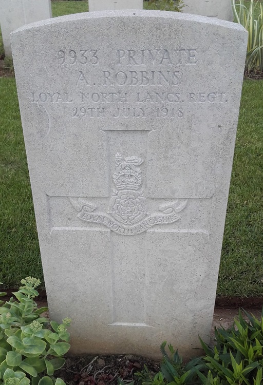 grave for a robbins