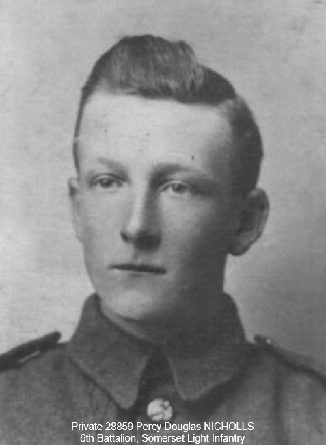 percy nicholls