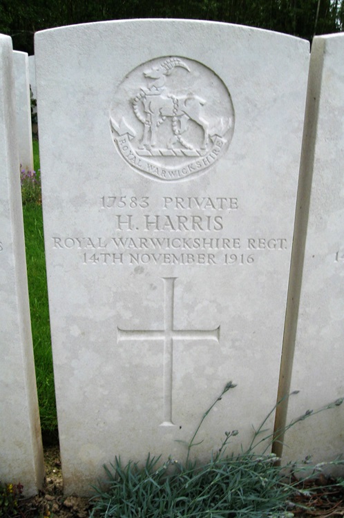 Grave for h harris