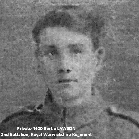 bertie lawson