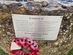 2.Plaque