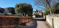Street view 1 100